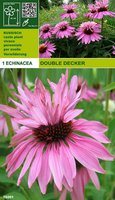 274.Echinacea purpurea <br />Double Decker I 0.82<br />примерно 57р<br /><br />Badina<br />Оксана