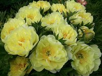 IMG_20130613_123045.jpg
