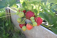 IMG_8411.jpg