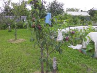 IMG_20170718_165444-min.jpg