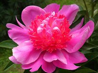 IMG_20130613_142910.jpg