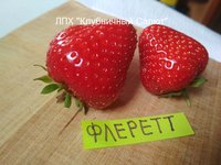 Флеретт_20170719_152822.jpg