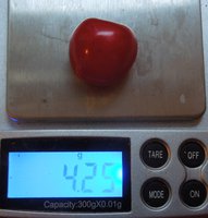 DSCN5954.JPG