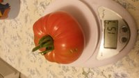 20170720_224252.jpg
