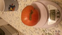 20170720_224351.jpg