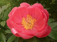 IMG_20130613_210857.jpg