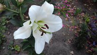 20170721_152834.jpg