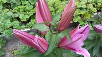 20170721_152801.jpg