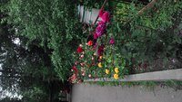 P_20170722_105832_HDR.jpg