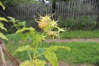 IMG_8465.jpg