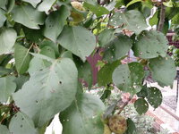 20170721_165604.jpg