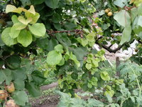 20170721_165553.jpg