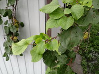 20170721_165622.jpg