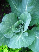 IMG_3663.JPG