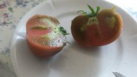 20170723_123230.jpg