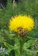 20170722_133018.jpg