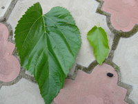 DSC05173.JPG