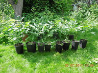 DSCN5984.JPG