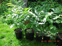 DSCN5986.JPG