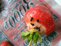 Вот он любитель сладкой ягоды.
