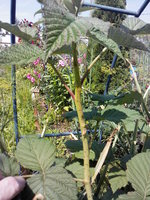 IMG10449.jpg