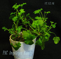 IMG_1797.JPG