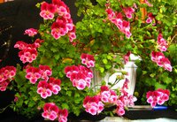 IMG_3697.JPG