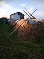 IMG_20170727_195149.jpg