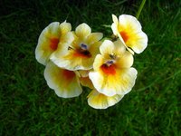 IMG_3724-1.jpg