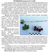 Грушенька.png