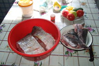 DSCF0460.JPG