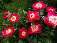 IMG_20130616_235614.jpg