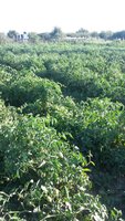 20170803_181529.jpg