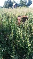 20170803_181759.jpg