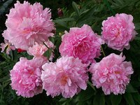 IMG_20130616_235944.jpg