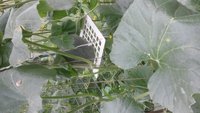 IMG-20170804-WA0003.jpeg
