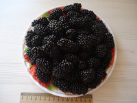 DSC05693.JPG