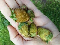 20170805_143803.jpg