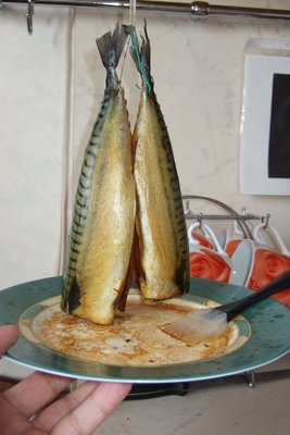 DSCF0566.JPG