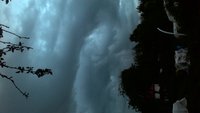 P_20170619_215348_NT.jpg