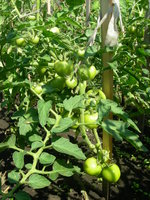DSCN1090.JPG