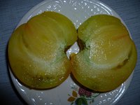 дынька севера 1.jpg