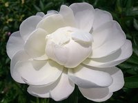 IMG_20130619_154932.jpg