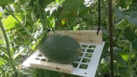 20170805_095240.jpg