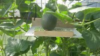 20170805_095335.jpg