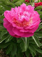 IMG_20130620_004730.jpg