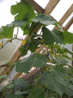 IMG_20170807_163005.jpg