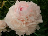 IMG_20130619_220630.jpg