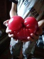 IMG_20170808_143326.jpg