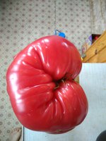IMG_20170808_143210.jpg